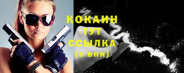 сатива Лабытнанги