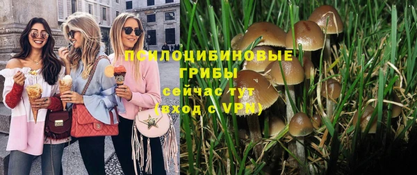 apvp Лагань
