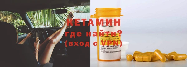 сатива Лабытнанги