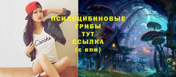 сатива Лабытнанги