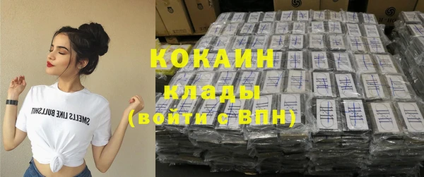 сатива Лабытнанги