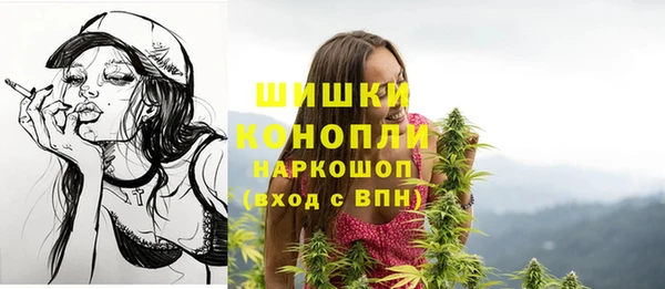apvp Лагань