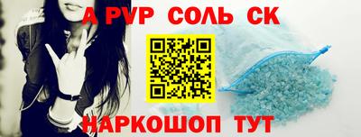 гашик Кингисепп