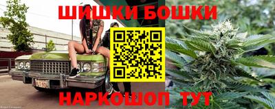 гашик Кингисепп