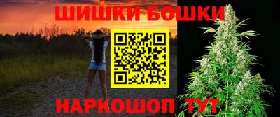 гашик Кингисепп