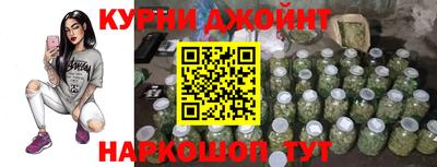 гашик Кингисепп
