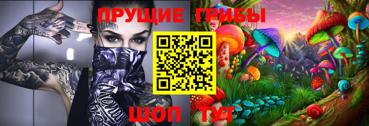 Галлюциногенные грибы Psilocybine cubensis  Мытищи 