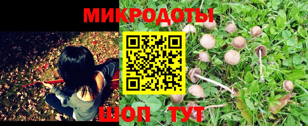 Мытищи  Галлюциногенные грибы MAGIC MUSHROOMS  Вход с VPN 